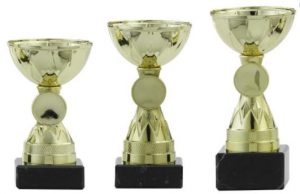 Clubkampioenen (NR)BC de Liemers